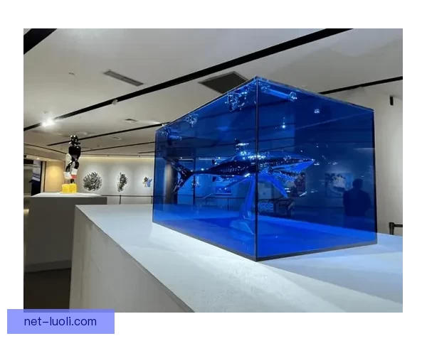 天涯海角网红展厅：不止于远方，更是心之所向的潮流新地标